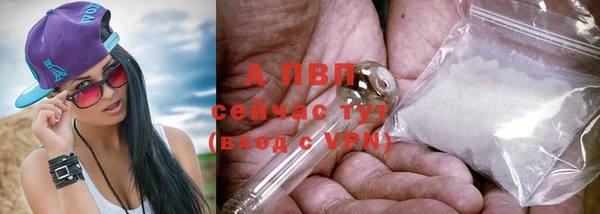 соль ск Алексин